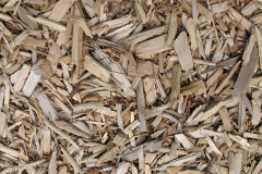 biomass boilers Spriddlestone